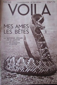 REPORTAGES PHOTOS VOILA 1934 REPTILES AMERIQUE GALANTE CONSPIRATEUR PARIS CONGO - Picture 1 of 1