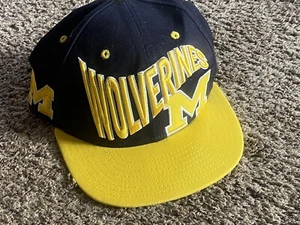 University of Michigan Wolverines Baseball hat - Picture 1 of 9
