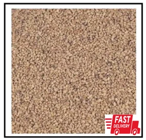 Agra Grit Walnut Shell Sandblasting Coarse Grit 10 Lb Per Box Media Abrasive - Picture 1 of 2