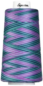 Thread Machine Quilting Thread, 3000 yd, Variegated Garden - Bild 1 von 1