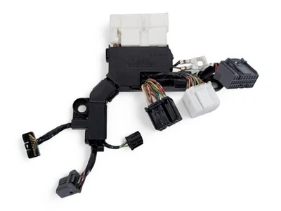 Arnés de cableado de batería Honda CR-Z CRZ 11-12 PCU 1N100-RBJ-000, E037, OEM, 2011,  Foto 1 de 4