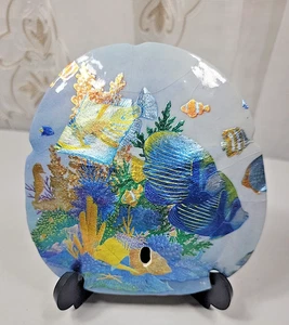 Dollaro di sabbia in gesso/gesso decorato a mano con supporto - Foto 1 di 7