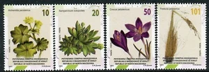 421 - NORTH MACEDONIA - Flora - Saffron - Houseleek - Fescue - MNH Set - Picture 1 of 2