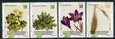421 - NORTH MACEDONIA - Flora - Saffron - Houseleek - Fescue - MNH Set - Image 1 of 2
