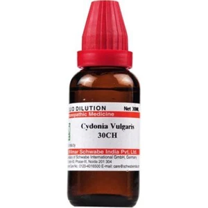 Buy 8Get 2 Packs Free   Willmar Schwabe Cydonia Vulgaris 30CH 30ml - Men Health - Picture 1 of 3