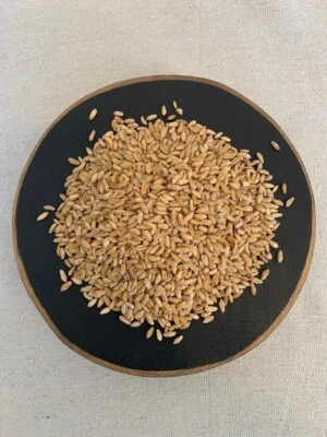 Bayas de trigo de invierno blancas suaves 25 lb. Foto 1 de 4