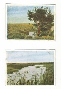 31/479 SAMMELBILD NATUR MOOR AM MOORTÜMPEL und IM MOOR - Bild 1 von 2