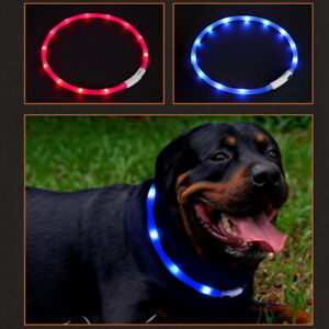 LED Flash Pet Dog Collars USB Rechargeable Night Light Anti Lost 8 Colors RGB