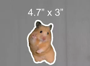 Peace Sign Hamster Meme Cute Adorable Funny Sticker Vinyl Sticker Car Decal  - Picture 1 of 1