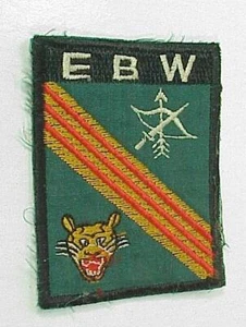 Vietnam Unit Patch #15 of 23 - ARVN Special Forces - Imagen 1 de 1