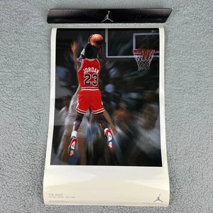 Nike Air Jordan 4 The Shot Poster 12,5" x 20" 2006 Black Cat Pure Money Wall 1 - Bild 1 von 9
