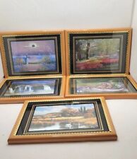 Lot Of 5 Vintage Foil 3D Framed Pictures Waterfall, Pond,Flowers. 6×8 Inches. 