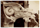 Gargouille de l'église de Clery-Saint-André, Loiret  Vintage print  Tirag