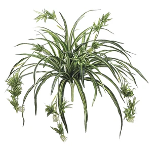 Allstate 34" Green and White Artificial Spider Plant - Picture 1 of 1