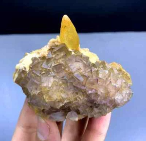 Fluorita fantasma cúbica púrpura con calcita de Baluchistán Pakistán - 186 gramos - Imagen 1 de 6