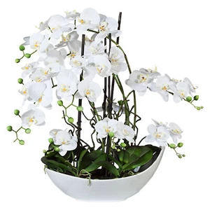 Disposizione Phalaenopsis, 68 cm bianco, in guscio di ceramica 45x25 cm bianco, Real Touch Ku - Foto 1 di 3