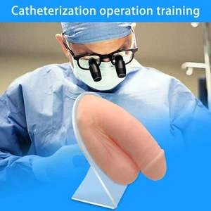 Modelo de punción de cateterismo urinario operación médica entrenamiento reutilizable ancho - Imagen 1 de 8