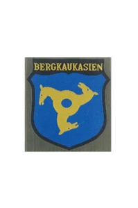 WWII North Caucasians Volunteer's armshield BeVo - Imagen 1 de 1