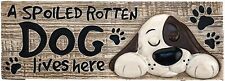Spoontiques A Spoiled Rotten Dog Live Here Decorative Sign, 7.75"