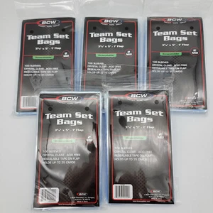 Juego de bolsas de equipo resellables 500 BCW (1-RTSB) | 5 paquetes de 100 - Imagen 1 de 4