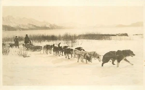 Tarjeta postal RPPC Alaska 1920s perro trineo equipo 23-5943 - Imagen 1 de 2