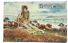 Postcard Tucks BIRTHDAY WISHES Oilette Plymouth Series II Beaded Mt Edgcumbe A3