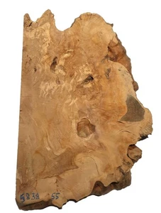 1X Madera De Raíz De Olivo Olivo Epóxido 58X38Cm X 55Mm - Imagen 1 de 4