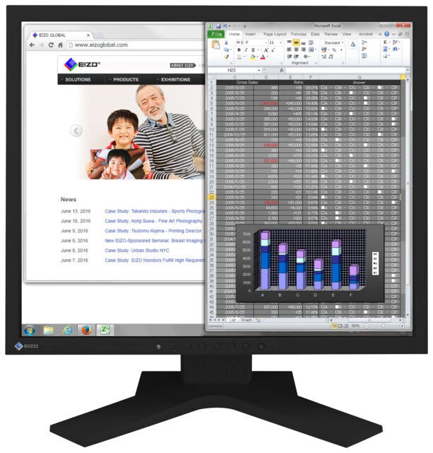 EIZO FlexScan S1934 19 Zoll LED-Monitor - Schwarz