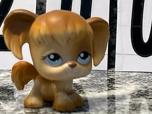 Littlest Pet Shop LPS #341 Brown And White Husky Baby Blue Eyes HASBRO 2004 - Picture 1 of 6