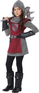 Fearless Knight Medieval Girl Warrior Fancy Dress Up Halloween Child Costume - Picture 1 of 10