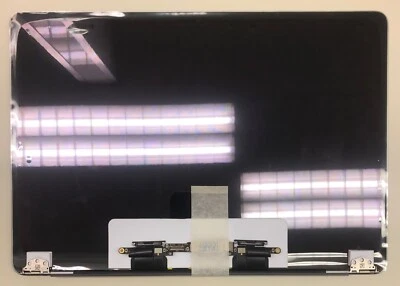 orignal Apple LCD Assembly MacBook Pro 13" 2016-17 A1706 A1708 Silver Space Grey - Bild 1 von 3
