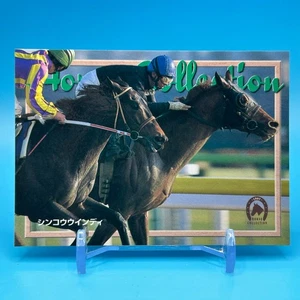 Shinko Windy Purosangue Horse Racing TCG Trading Card Retoro EPOCH Giappone #27 - Foto 1 di 10