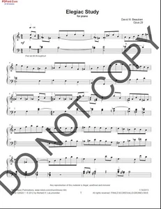 NEW Elegiac Study for Piano DWB-130104.1 - Picture 1 of 2