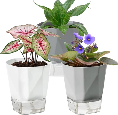 Paquete de 3 macetas de riego automático, macetas violetas africanas de 4,9 pulgadas para interiores y exteriores Foto 1 de 4