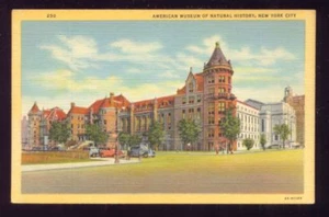View of American Museum of Natural History New York City Vintage Unused Postcard - Picture 1 of 1