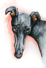 Greyhound Art Print Painting Poster Wall Art Picture, Birthday Gift Gifts Xmas