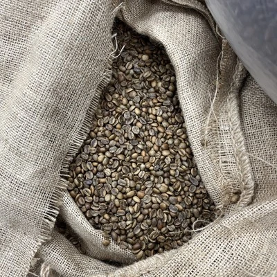 TOUCAN COFFEE 5 - LB PERU DECAF GREEN COFFEE WHOLE BEAN - ARABICA