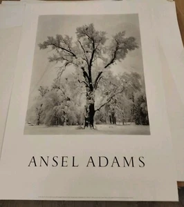 VINTAGE 1984~ANSEL ADAMS~Oak Tree Snowstorm~Lithograph Poster - Picture 1 of 2