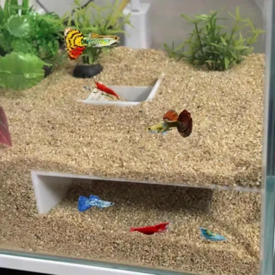 PLA Black/White Square Underground Corner Tunnel for Aquarium Cave Aquatic Fish - Image 1 of 4