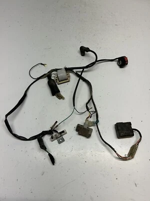 Yamaha RT180 RT 180 rt 1991 91 OEM ¡Funciona! Arnés de cableado ECU CDI Boil Regulato Foto 1 de 4