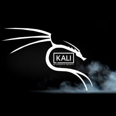 DVD Kali Linux 2024.1 (AMD64) Foto 1 de 3