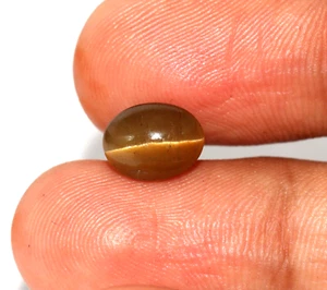 Beautiful Natural Apatite Cats eye Honey Color Oval Shape Loose Gemstone 2.47 Ct - Picture 1 of 15