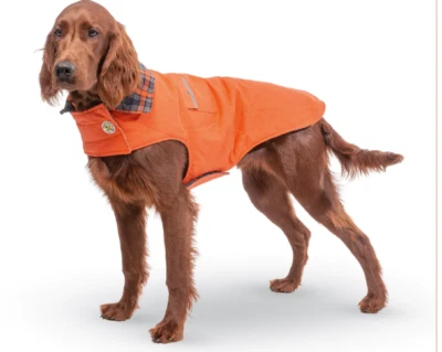 Casaco de campo laranja para cachorro gola dobrável, bolsos de pressão para segurar guloseimas tamanho grande - Imagem 1 de 4