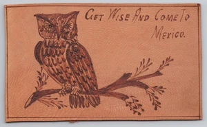 Mexico Owl Get Wise And Come To Mexico Motto Novelty Leather Postcard Humor Gag - Picture 1 of 2