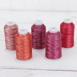 Threadart Variegated Polyester Embroidery Thread Set - 5 Red Shades - 40wt 1000M - Picture 1 of 8