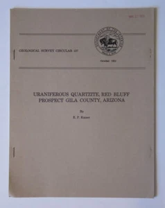 Uraniferous Quartzite Red Bluff Prospect Gila County Arizona 1951 Geo Survey 137 - Foto 1 di 1