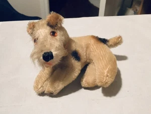 Vintage Glasäugen altes Mohair Stofftier Hund Anfang 20. Jahrhundert 4 Zoll - Bild 1 von 6