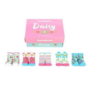 Cucamelon Gänseblümchen Blume Blumenstreifen 5 Paar 1-2 Jahre Geschenkbox (NEU!) - Bild 1 von 2