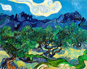 The Olive Trees - Picture 1 of 5