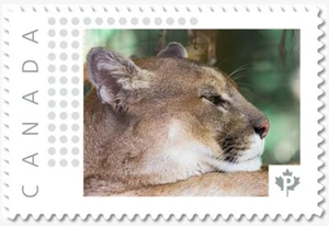 cp. PUMA, COUGAR = Wild Cat, Picture Postage stamp MNH Canada 2018 [p18-01sn06] - Picture 1 of 2